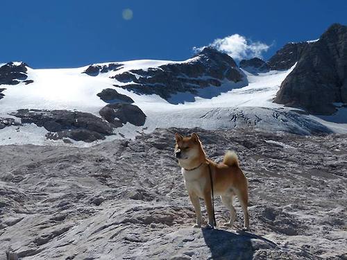 《顶级战队经理揭秘：打造冠军战队的幕后故事》，顶尖战队