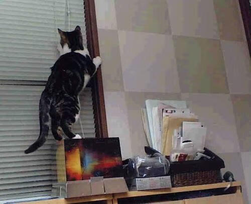 九游体育平台官网-中超联赛引入智能裁判技术提升判罚精准度，中超裁判又出争议判罚